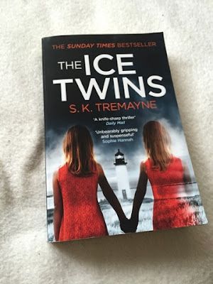 'The Ice Twins' book