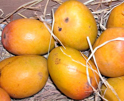 mangoes