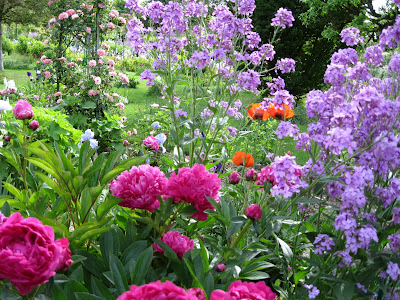 (France) – Giverny  Garden