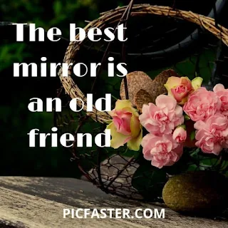 Latest - Friends Group Dp With Quotes For Whatsapp [2020]