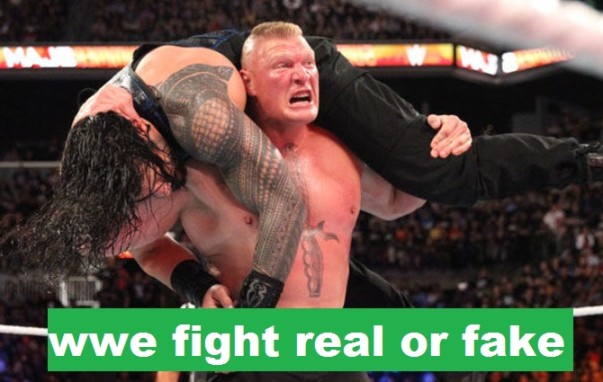 wwe-fight-real-or-fake