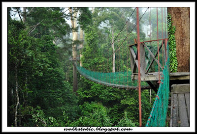 DANUM VALLEY, SABAH