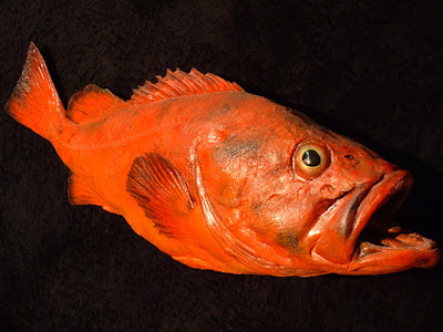 Rougheye Rockfish: Animals That Never Die