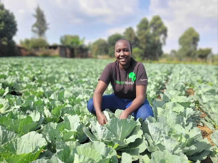 How to Start and Profit from Vegetable Farming Business