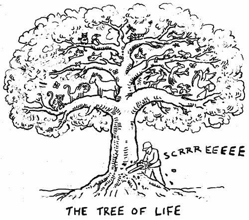 tree of life images. Tree Of Life: Satirical