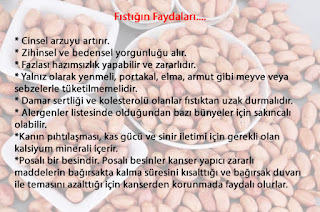 çam fıstığının faydaları