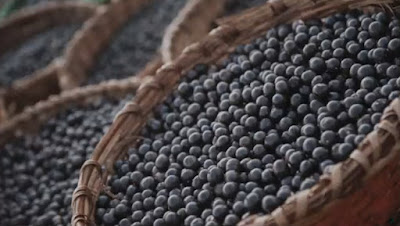 14 Benefits of Acai Berries - Weight Loss, Cancer, Eyes