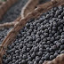 14 Benefits of Acai Berries - Weight Loss, Cancer, Eyes
