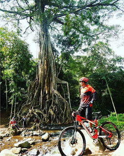 Wisata Akar Seribu Gondang Mojokerto