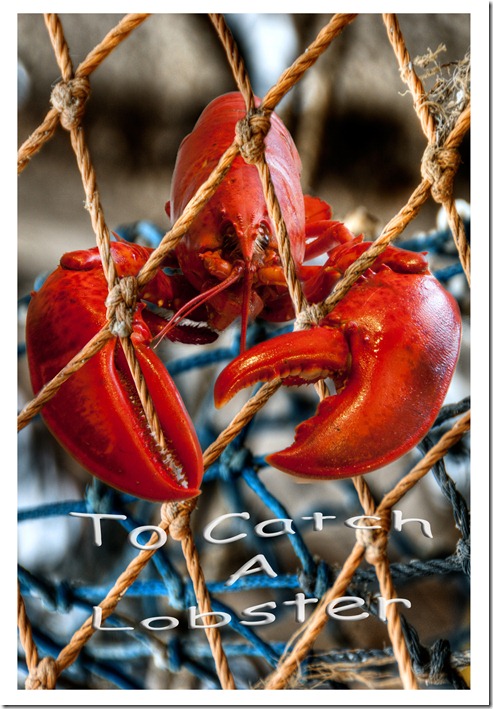 Assignment 5 Front Cover