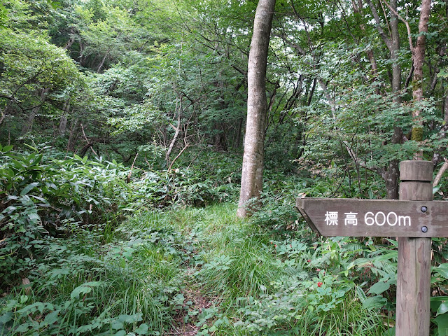 鳥取県西伯郡南部町東上の鎌倉山に登ります