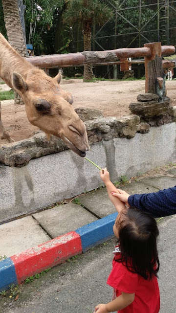 Zoo Johor