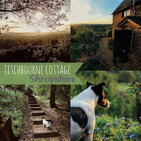 Rustic holiday cottage - Titchbourne Cottage