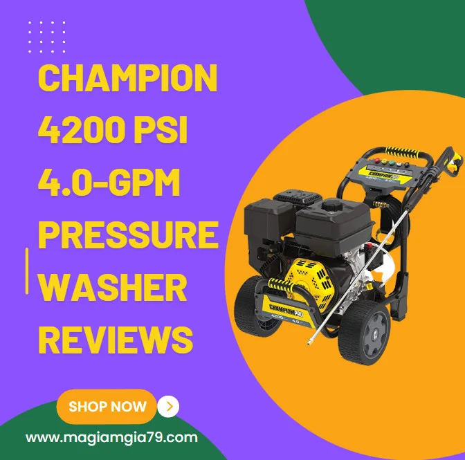 Champion Power Equipment 4200-PSI 4.0-GPM Commercial Duty Low Profile Gas Pressure Washer