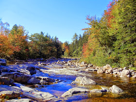 annecharriere.com, couleurs d'automne, 