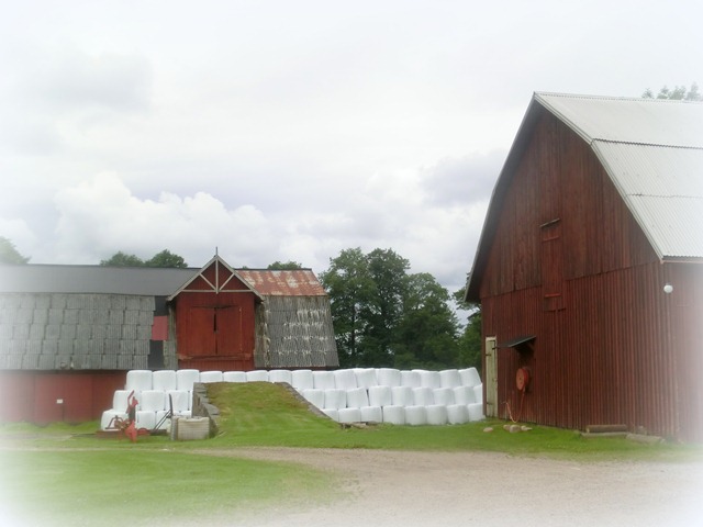 CIMG9717-001