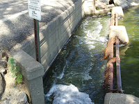 Lake Herman spillway, topped out, South Dakota, June 28, 2010