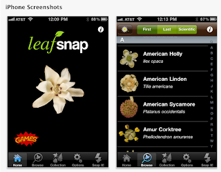 LeafSnap