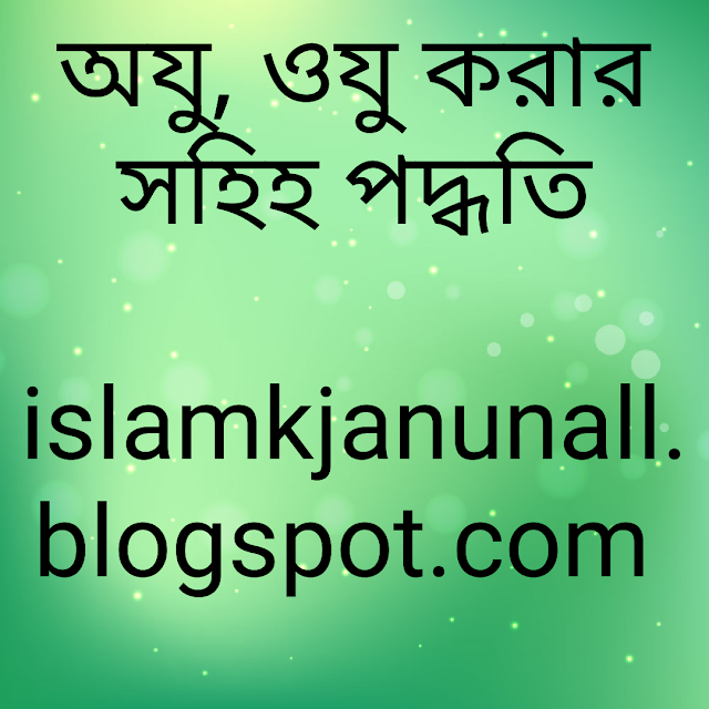 ওযু করার সহিহ পদ্ধতি, ওযুর সময় কান মাসহ করা।