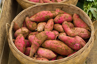 Sweat Potatoes were Padded Registered Superfood, this reason