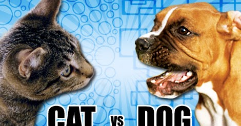 Cat Vs Dog ( All Coleection ) ~ AlfianID Blog