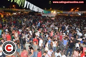 Festa 431