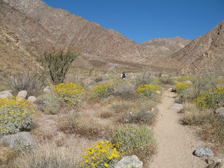 The alternate trail to Palm Canyon in Anza-Borrego Desert State Park