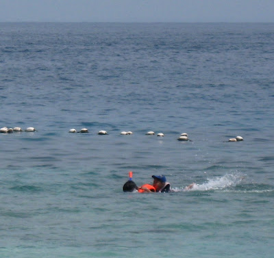 Dad in addition to fille gear upward to banking enterprise check the fish bestthailandbeaches: Perhentian Islands.