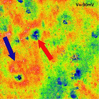 Caption: Comparison of an STM topographic image of a section of graphene sheet (top left) with spectroscopy images of electron interference at three different energies shows strong interference patterns generated by atomic scale defects in the graphene crystal (red arrows) but only modest disturbances caused by larger scale bumps in the sheet (blue arrows.) Analysis of the ripples shows that the electron energy in graphene is inversely proportional to its wavelength, just like light waves. The area imaged is approximately 40 nanometers square. Credit: NIST/Georgia Tech, Usage Restrictions: None.