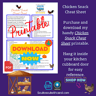 Chicken Snack Cheat Sheet