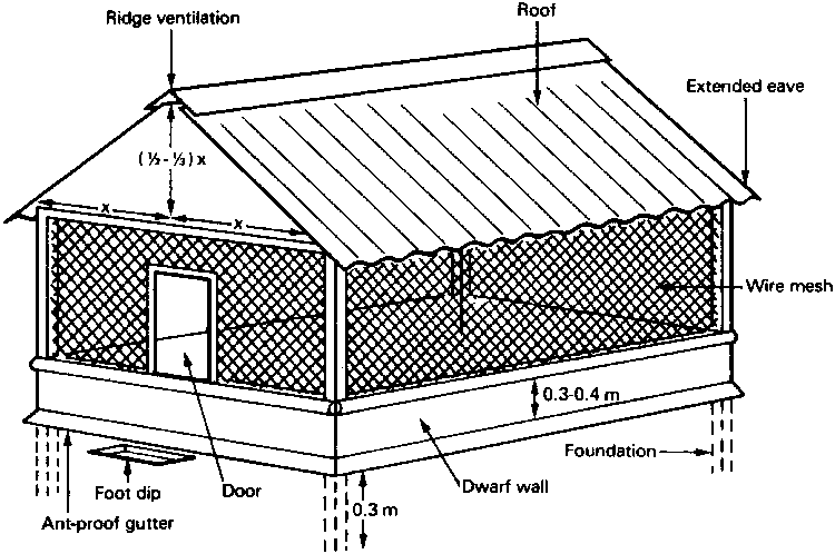 Pictures Of Poultry Pen House Design Layout In Nigeria - Practical ...