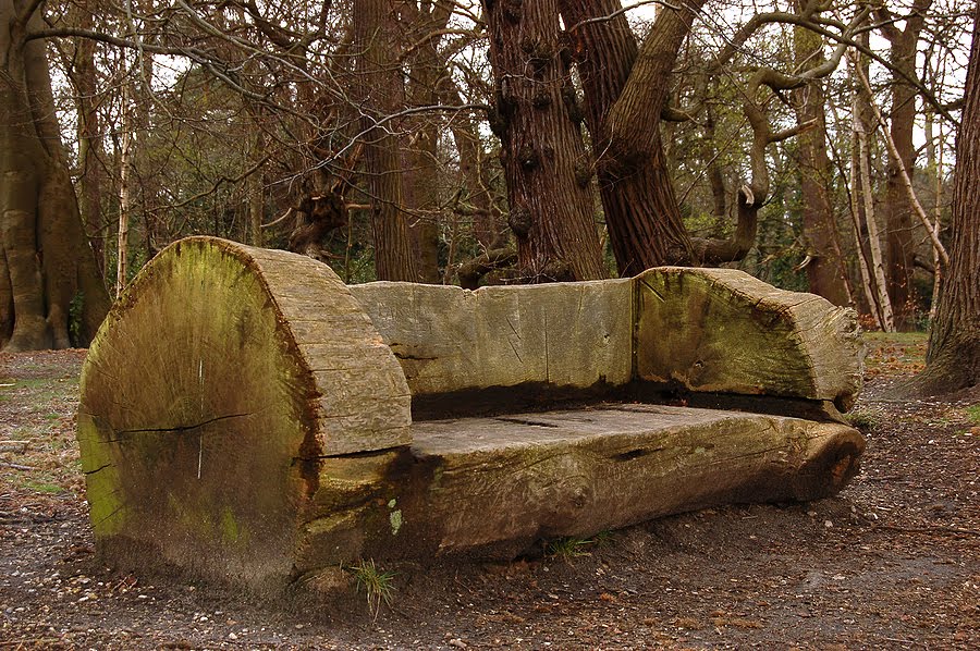 Log Bench