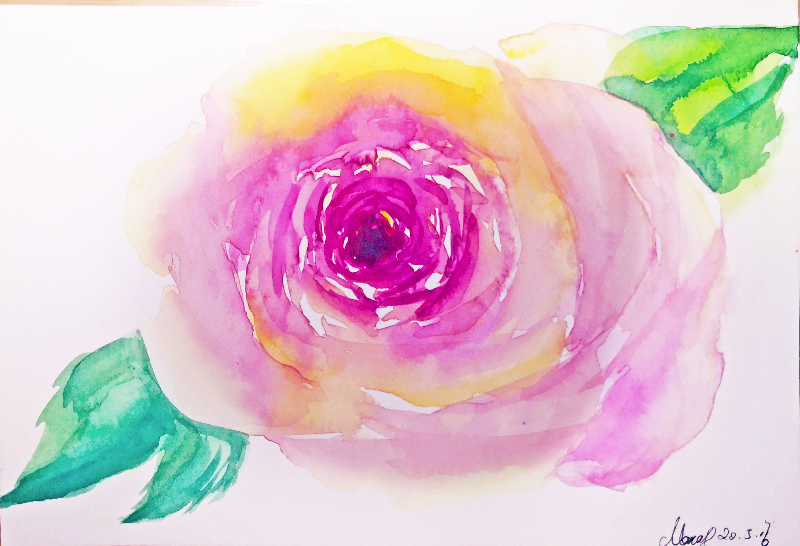 How to draw pink peony with watercolor step by step tutorial