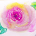 How to draw pink peony with watercolor step by step tutorial 