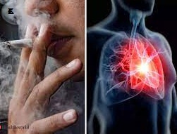 Smokers Have Weaker Hearts, Research