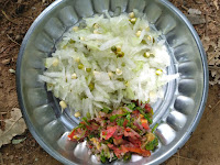 Ashgourd, Green gram sprouts, Tomato salsa (chopped Tomato, Onion, Coriander, Mint, Ginger)