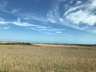 Pleistocene: Atapuerca site  (by E.V.Pita, 2023)/ Pleistoceno: Yacimiento de Atapuerca / O xacemento de Atapuerca  (E. V. Pita, 2023) https://archeopolis.blogspot.com/2023/07/paleolithic-atapuerca-site-paleolitico.html