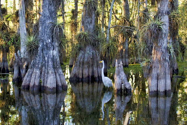 Everglades National Park