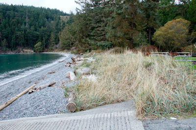 Undisturbed Shoreline Section at Bowman Bay