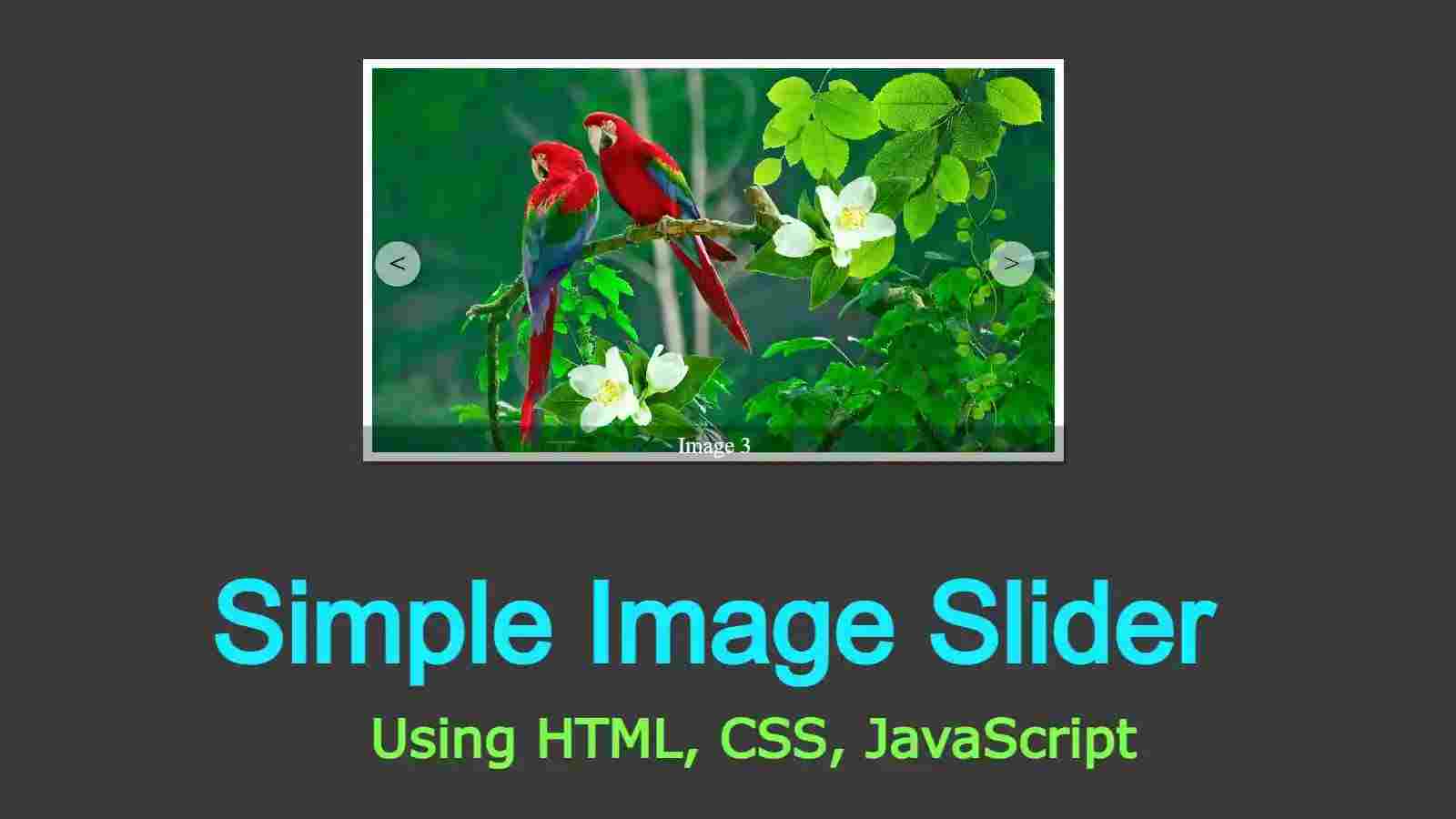 Create Image Slider Using HTML, CSS, and javaScript