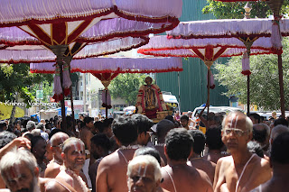 Sri Parthasarathy Perumal,Maanavala Maamunigal, Ippasi thirumulam,Satrumurai Venkata KRishnan,Purappadu, 2019, Video,Divya Prabhandam,Triplicane,Thiruvallikeni,Utsavam,