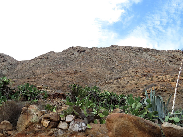 Fuerteventura