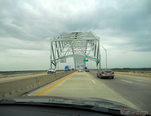 13. Memphis bridge-kab
