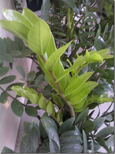 2010-09-18_12-31-40_424