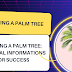Planting a Palm Tree: Essential Informations for Success
