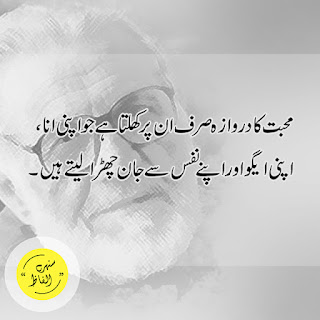 Ashfaq Ahmed Golden Quotes