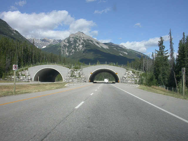 Ecoducto en Canadá