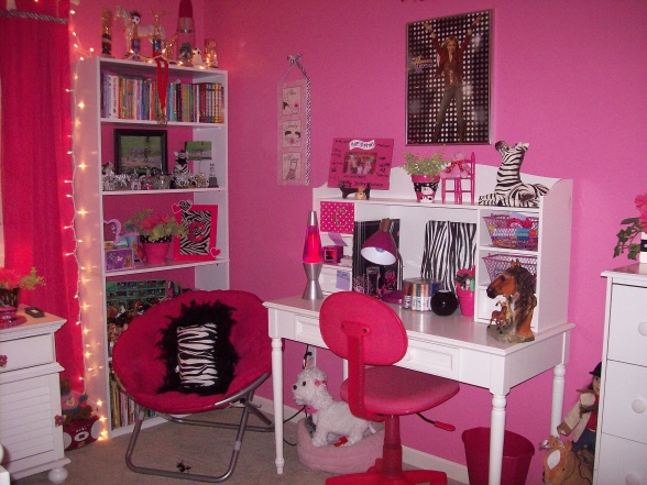 Girls Zebra Bedroom Ideas