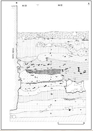 Estratigrafia