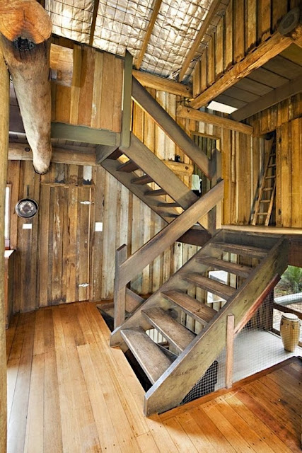 Living Trees in Houses with Amazing Styles, nice interior design the best sample,super funny pictures,amaging funny picture,awesome funny picture